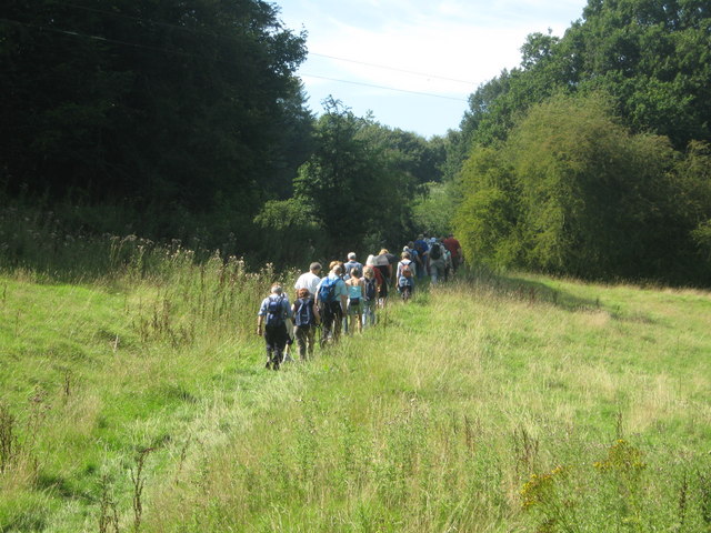 David Anstiss / Herd of ramblers on a footpath to Whitley / CC BY-SA 2.0