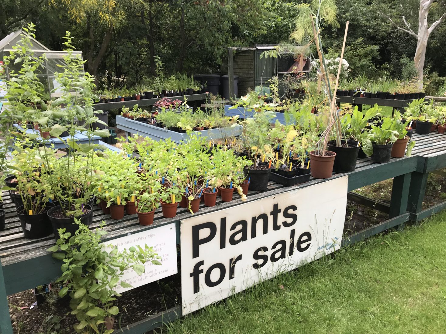 Plant-sale